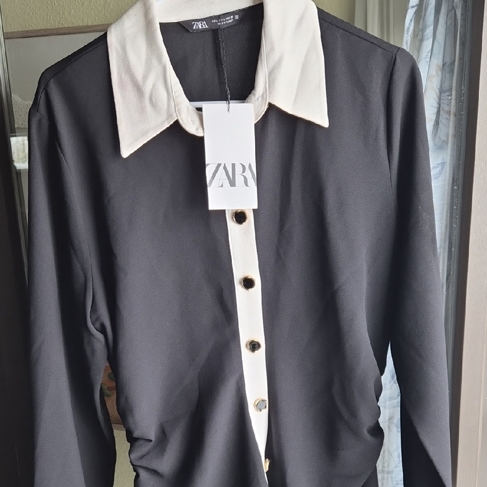 Zara Monochrome Contrast Button-Up Dress